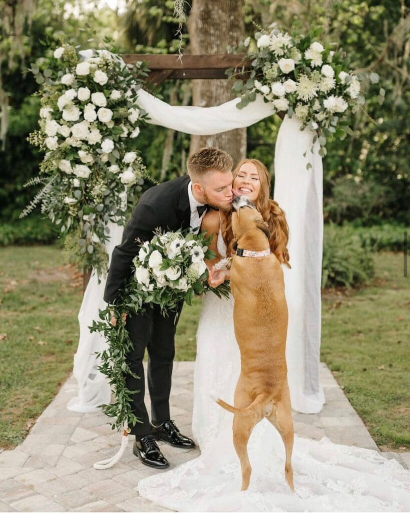 bride and groom in front of wooden arch, leaning down to hug and kiss their dog who is jumping up on them